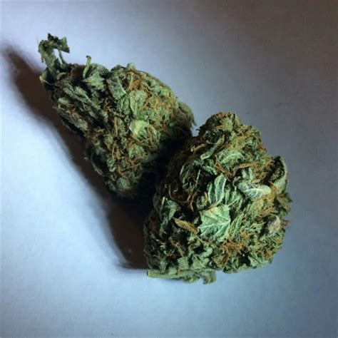 bg kush|Bubblegum Kush Weed Strain Information 